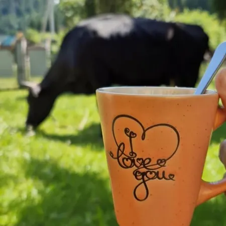 будинок для відпочинку *